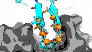 peptide illustration