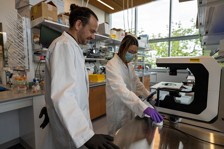 Nick Willett and postdoc Christine Tran in the lab