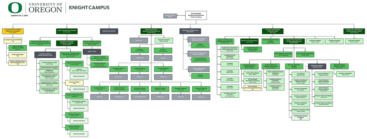 An organizational chart with multiple colored boxes, text, and lines