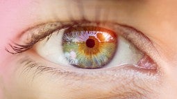 Gene Therapy, Human Eye