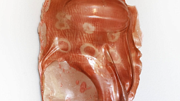 Close up image of gelatin substance