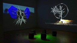 A dark room with multiple artistic works