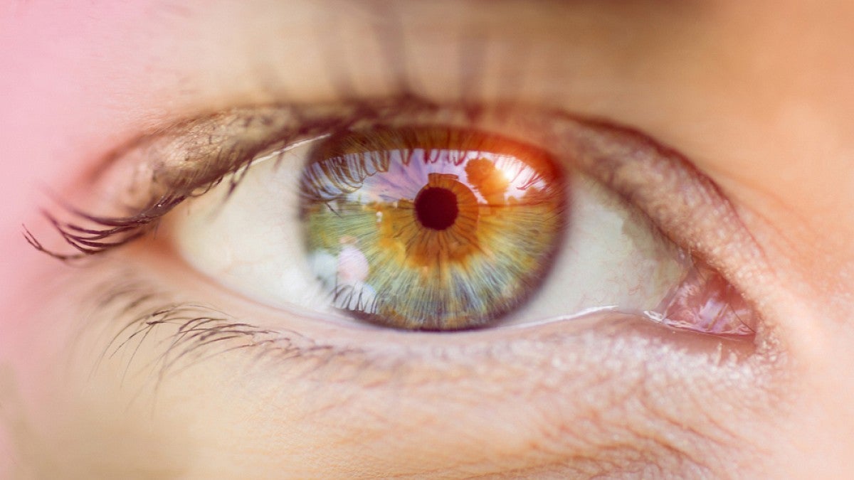 Gene Therapy, Human Eye