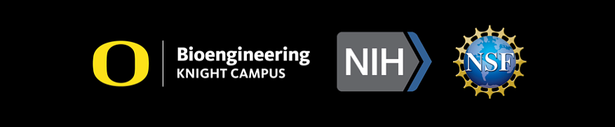 Logos of BioE NIH NSF