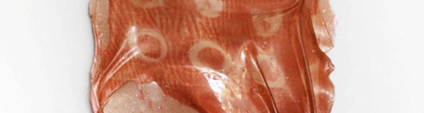 Close up image of gelatin substance